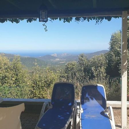 Vos Vacances A Lama France Corse Zewnętrze zdjęcie