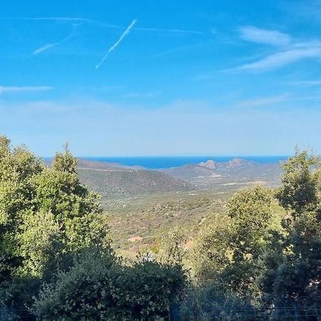 Vos Vacances A Lama France Corse Zewnętrze zdjęcie