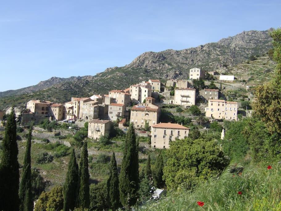 Vos Vacances A Lama France Corse Zewnętrze zdjęcie