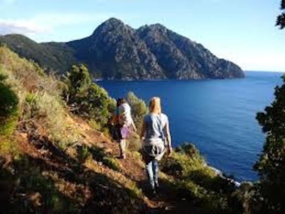 Vos Vacances A Lama France Corse Zewnętrze zdjęcie