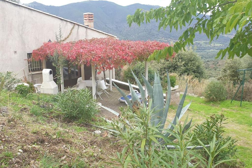 Vos Vacances A Lama France Corse Zewnętrze zdjęcie
