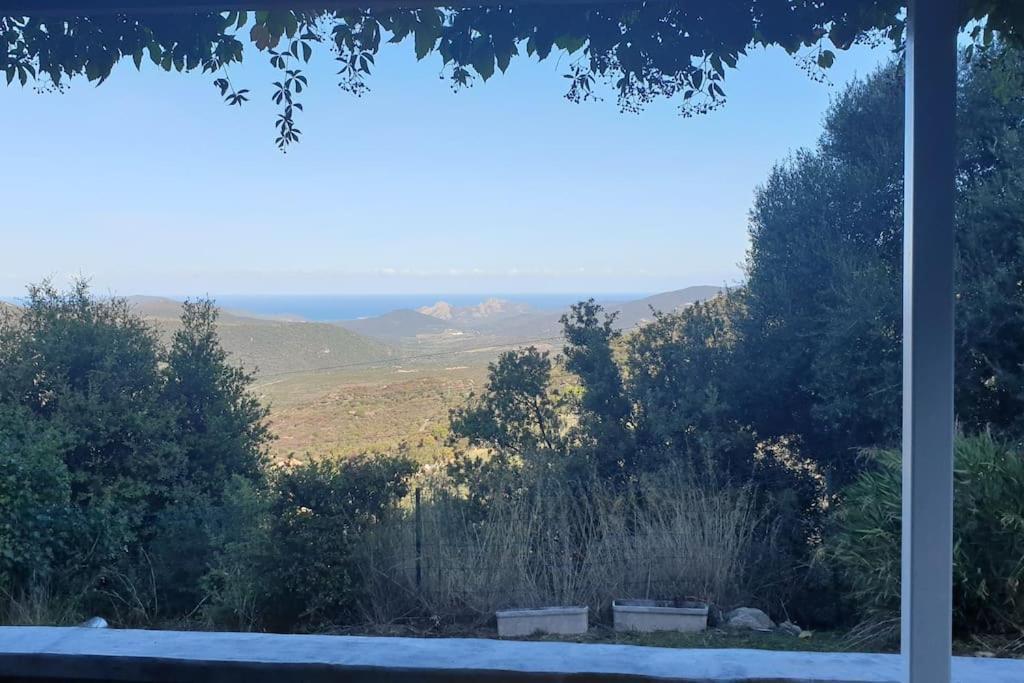 Vos Vacances A Lama France Corse Zewnętrze zdjęcie